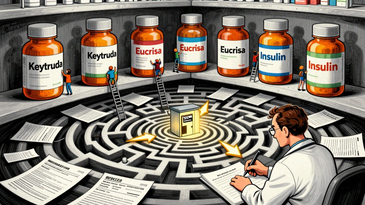 Tiny people climbing drug bottles while surrounded by swirling paperwork and a glowing PAP eligibility door.